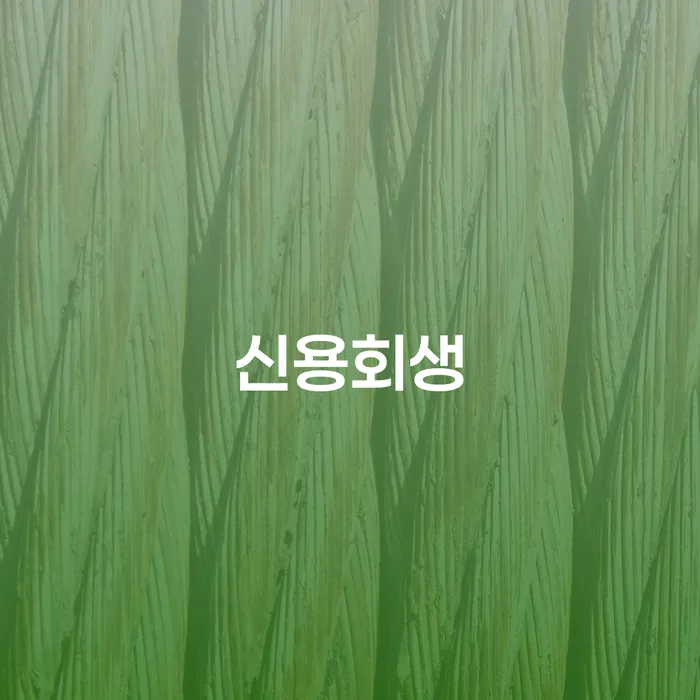 빚독촉 개인파산 살펴보세요