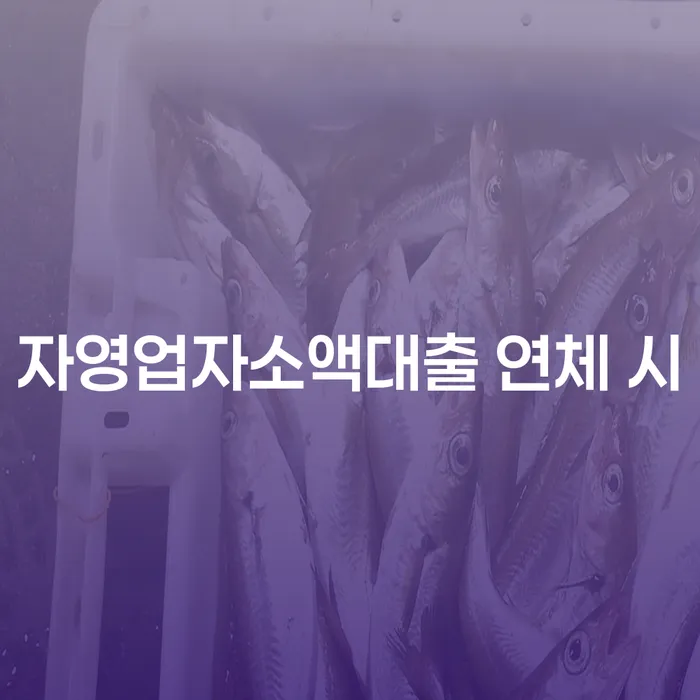 개인파산변호사 개인회생 처리방법 잘하는 사무소