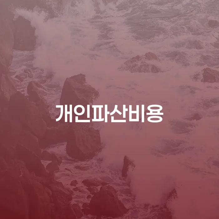 개인파산개인회생 대출 받은 돈채무조정 무료로 확인하는 방법
