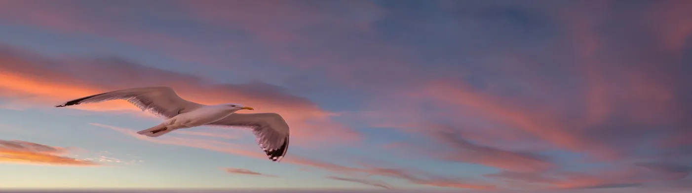 법무법인 서앤율