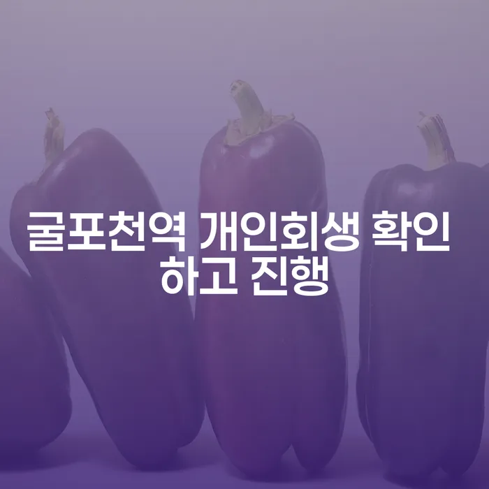 굴포천역 개인회생 확인 하고 진행