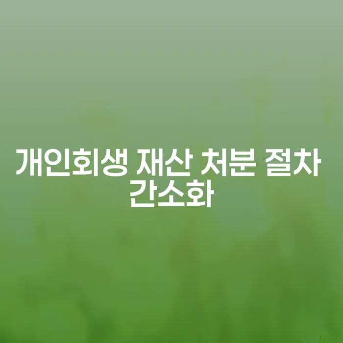 개인회생 재산 처분 절차 간소화: 어떻게 신청할 수 있을까요?