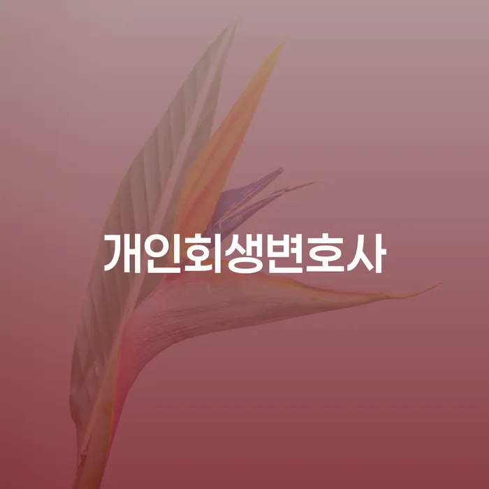 수서동 개인회생변호사와 함께하는 채무 해결의 길