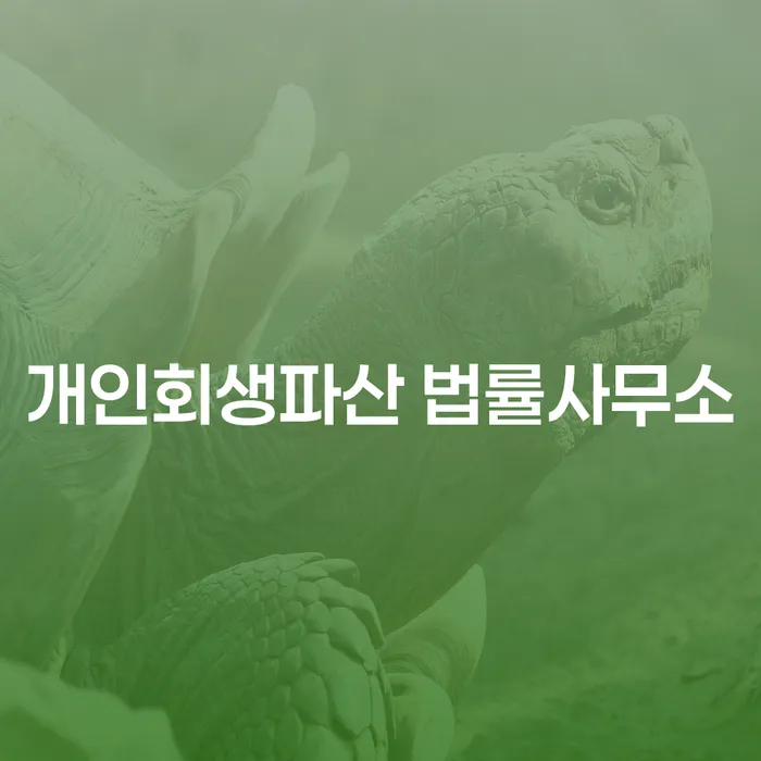 개인회생 및 파산 법률사무소의 중요성