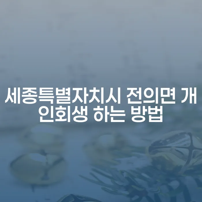 세종특별자치시 전의면에서 개인회생을 하는 방법은 무엇일까요?